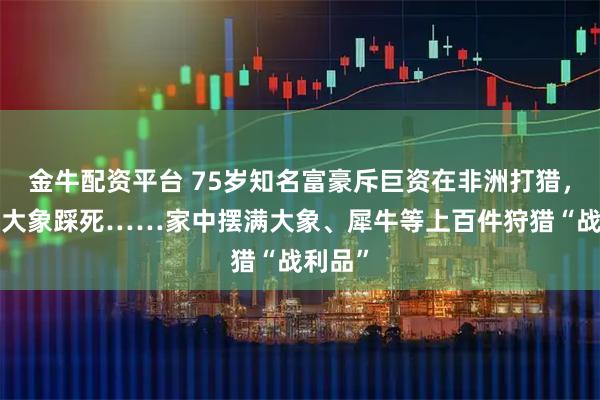 金牛配资平台 75岁知名富豪斥巨资在非洲打猎，被5头大象踩死……家中摆满大象、犀牛等上百件狩猎“战利品”